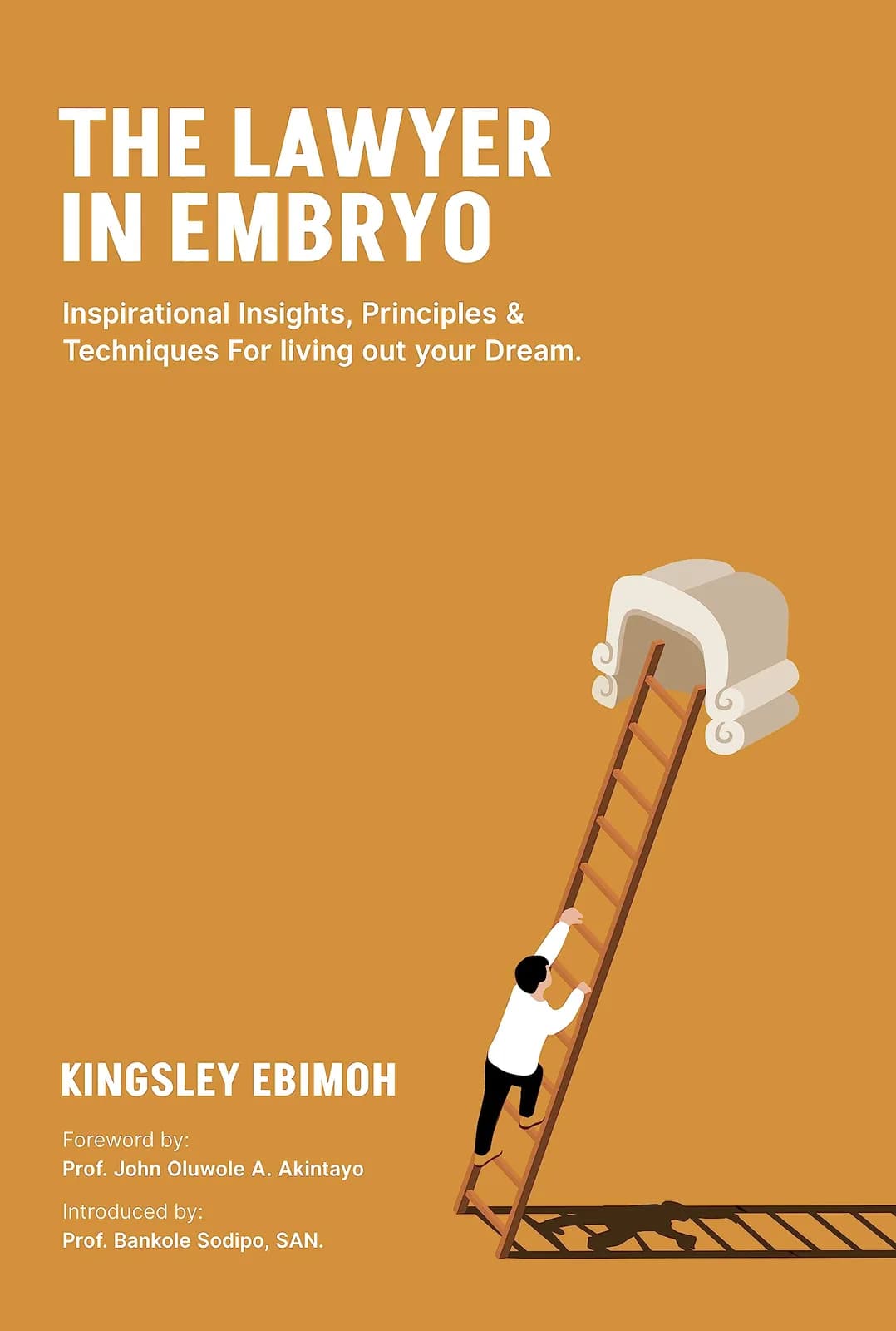 The Lawyer in Embryo: Inspirational Insights, Principles & Techniques for Living Out Your Dream cover