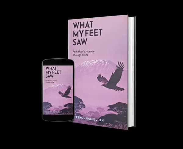 What My Feet Saw: An African's Journey Through Africa by Gershon Ogbuluijah, book cover