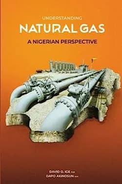 Understanding Natural Gas: A Nigerian Perspective cover